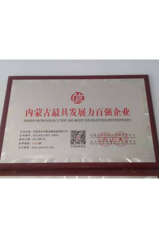 內(nèi)蒙古較具發(fā)展力百強(qiáng)企業(yè)